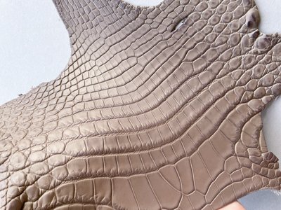 Crocodiles' neck, biege color