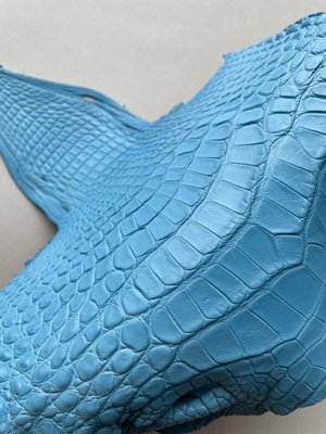 Crocodiles' neck, sky blue color
