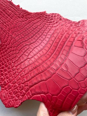 Crocodiles' neck, coral color