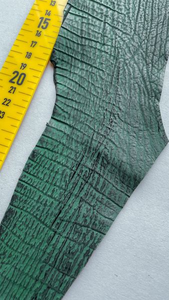 Shark leather piece, green