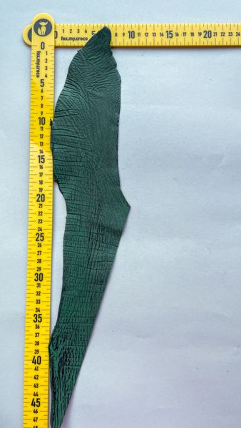 Shark leather piece, green