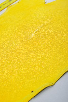 Круглый скат, желтый 000000372 фото