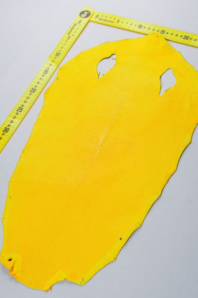 Круглий скат, жовтий 000000372 фото