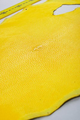Круглый скат, желтый 000000374 фото