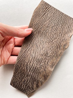 Лоскут шкіри акули, коричневий 000002319 фото