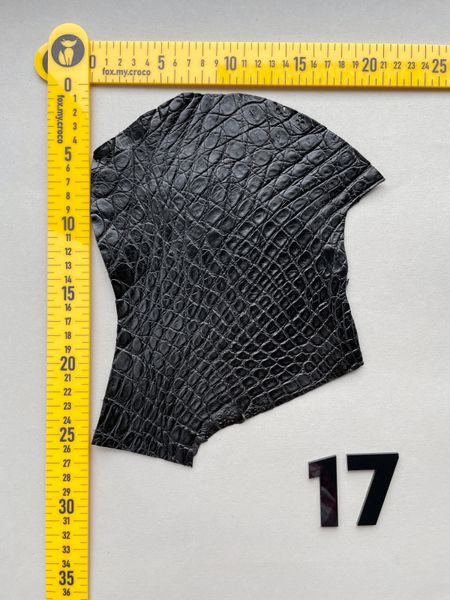 Лоскут шкіри крокодила, чорний 000000934 фото