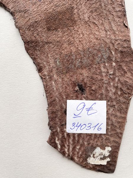 Лоскут шкіри акули, коричневий 000002325 фото