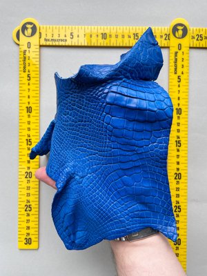 Лоскут кожи крокодила, синий 000002816 фото