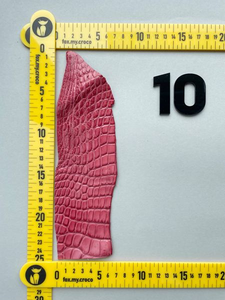 Crocodile leather piece, dark pink