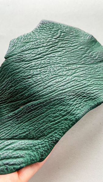 Shark leather piece, green