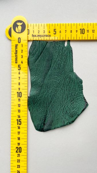 Shark leather piece, green