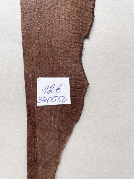 Лоскут шкіри акули, коричневий 000002324 фото