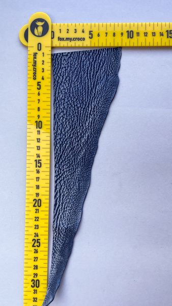 Shark leather piece, blue