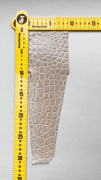 Лоскут шкіри крокодила 000000735 фото