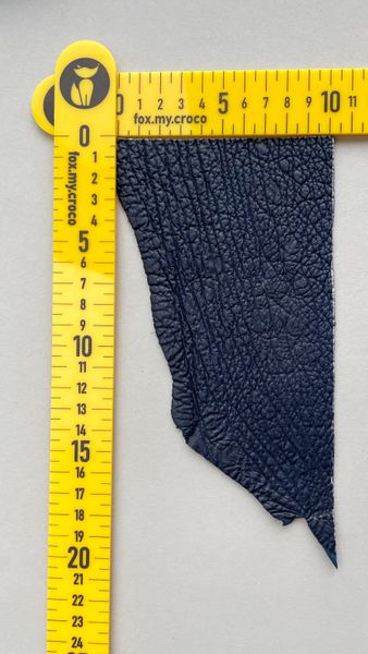 Shark leather piece, blue