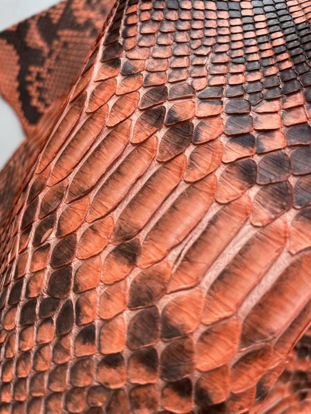 Python skin, orange 307 сm (available for cut from 20cm)