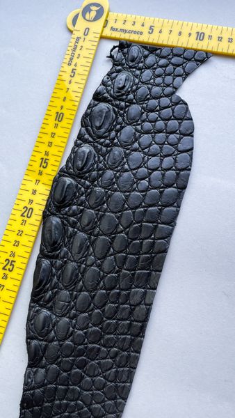 Crocodile leather piece, black