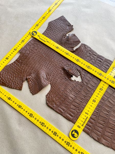 Crocodiles' Half-skin, cognac