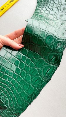 Лоскут шкіри крокодила, зелений 000000950 фото