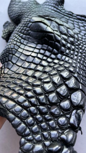 Crocodile leather piece, black