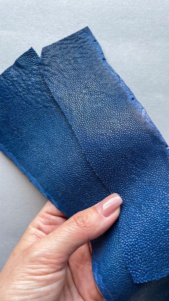 Stingray leather piece , blue