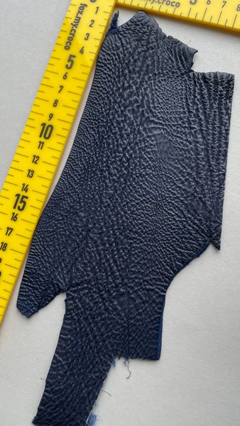 Shark leather piece, blue