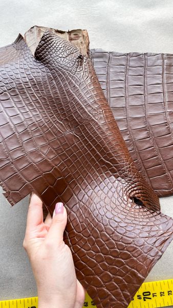 Crocodiles' Half-skin, cognac