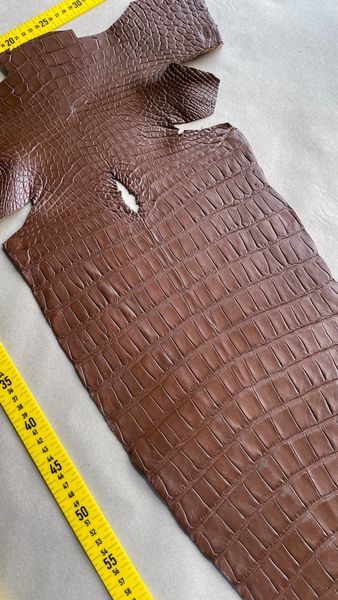 Crocodiles' Half-skin, cognac