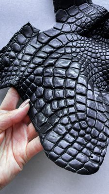 Лоскут шкіри крокодила, чорний 000002984 фото