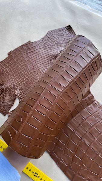 Crocodiles' Half-skin, cognac