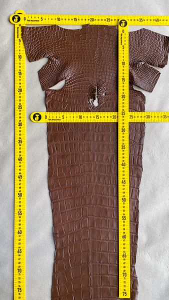 Crocodiles' Half-skin, cognac