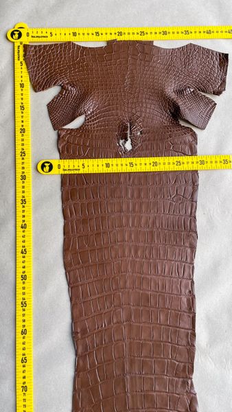 Crocodiles' Half-skin, cognac