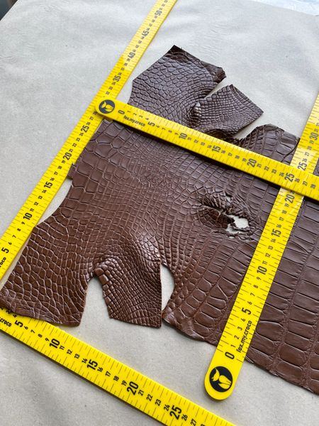 Crocodiles' Half-skin, cognac