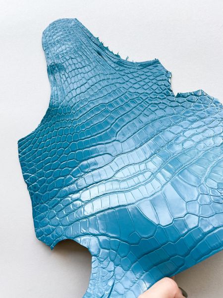 Crocodiles' neck, turquoise color