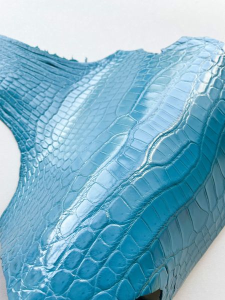 Crocodiles' neck, turquoise color