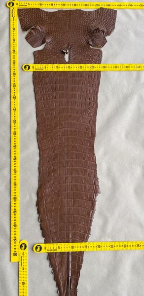 Crocodiles' Half-skin, cognac