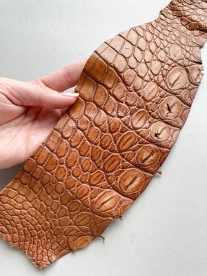 Crocodile leather piece, Clay