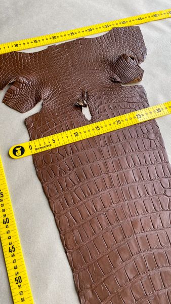 Crocodiles' Half-skin, cognac