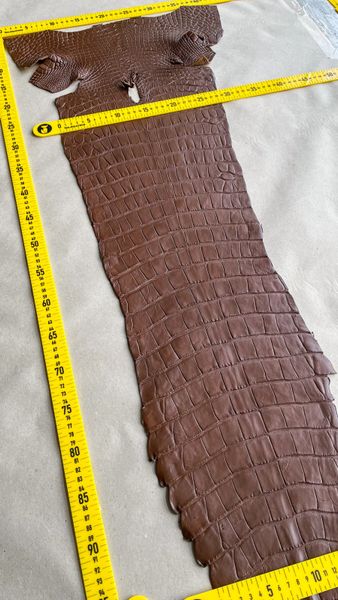 Crocodiles' Half-skin, cognac