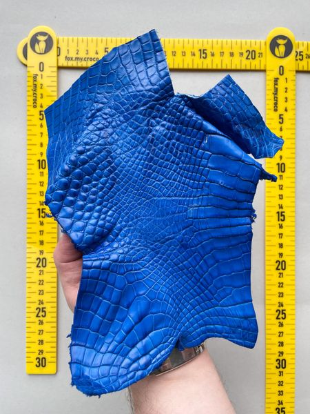 Crocodile leather piece, blue