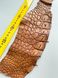 Лоскут шкіри крокодила, глиняний 000000265 фото 3
