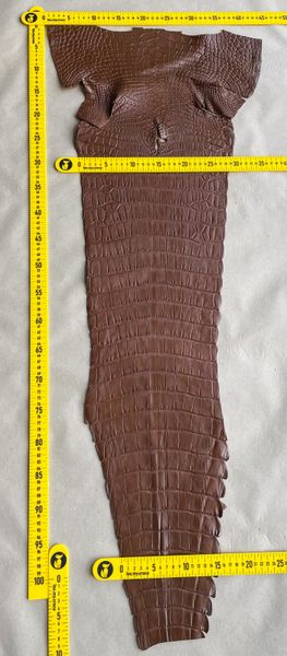 Crocodiles' Half-skin, cognac