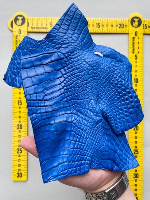 Лоскут шкіри крокодила, синій 000002826 фото