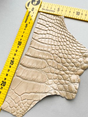 Лоскут шкіри крокодила 000000469 фото