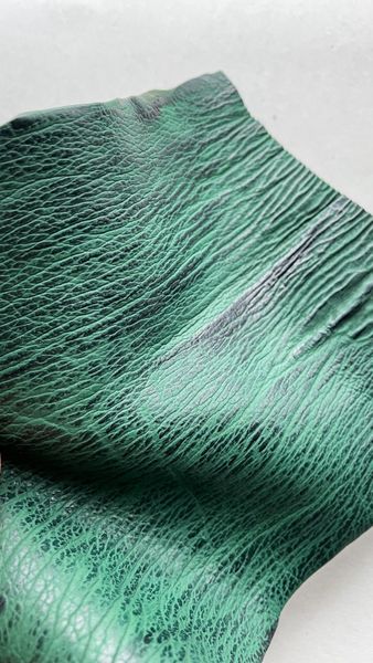 Лоскут шкіри акули, зелений 000000787 фото