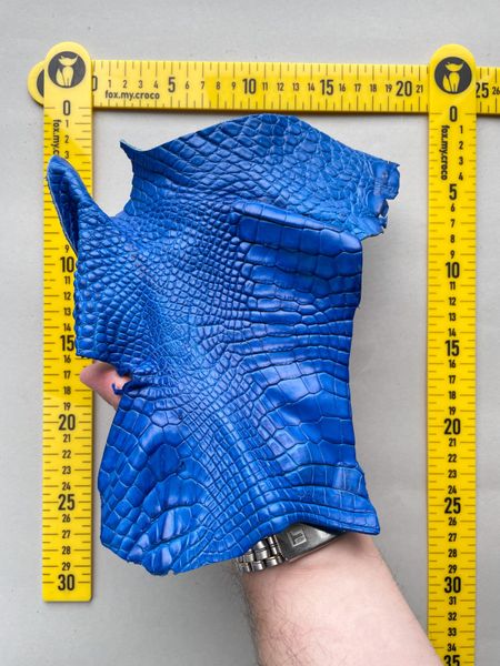 Crocodile leather piece, blue