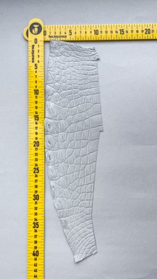 Лоскут шкіри крокодила 000000724 фото