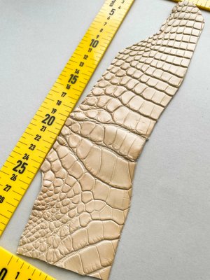 Crocodile leather piece