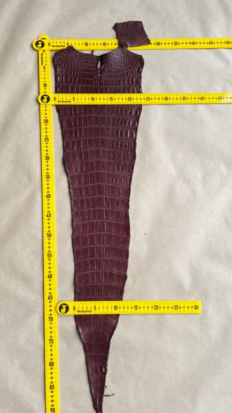 Crocodiles' tail, Marsala color