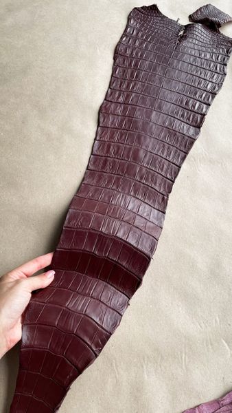 Crocodiles' tail, Marsala color